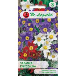 Koniklec - směs - Semena - W. Legutko