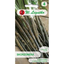 Skorzonera - Duplex - Semena - W. Legutko
