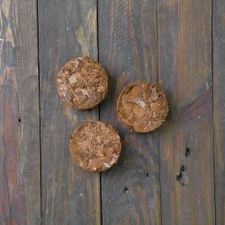 Kokosový substrát v kotouči 6 cm/10 ks. tlustá frakce - Zahradní doplňky - W. Legutko Kokosový substrát v kotouči 6 cm/10 ks. tlustá frakce - Zahradní doplňky - W. Legutko