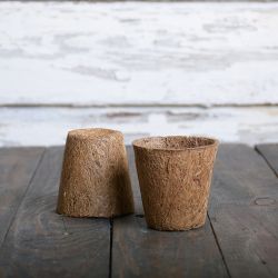 Kokosové květináče 6 cm - 6 ks. - Zahradní doplňky - W. Legutko Kokosové květináče 6 cm - 6 ks. - Zahradní doplňky - W. Legutko