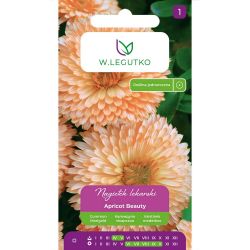 Měsíček - Meruňková kráska - Meruňková kráska - Semena - W. Legutko