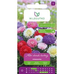 Trpasličí čínská astra - směs - Semena - W. Legutko