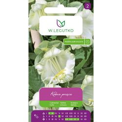 Lezení kobea - bílá - Semena - W. Legutko