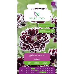 Čínský karafiát - Chianti - Semena - W. Legutko