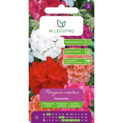 Pelargónie záhonová - směs - F2 - Semena - W. Legutko