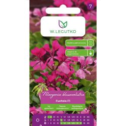 Pelargonium - Fuchsia F1 - fialová - Semena - W. Legutko