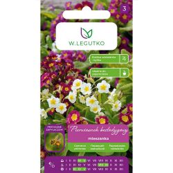 Prvosenka - bez stopky - mix - Semena - W. Legutko