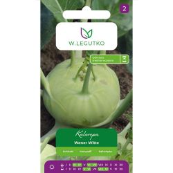 Kedlubny - Wener Witte (Di Vienna bianco) - Semena - W. Legutko