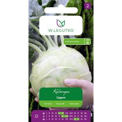 Kedlubny - obr - Semena - W. Legutko