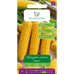 Kukuřice cukrová - Gucio F1 - Semena - W. Legutko