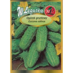 Chobotnice okurka - 100 g - Semena - W. Legutko