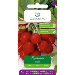 Ředkvička - kulatá - Krásná - Semena - W. Legutko