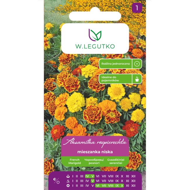 Tagetes rozptýlené - směs - Semena - W. Legutko Tagetes rozptýlené - směs - Semena - W. Legutko