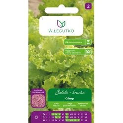 Křupavý ledový salát - Olimp - us. ostřílený - Semena - W. Legutko