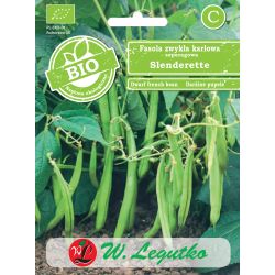Fazole - zelené fazolky - trpaslík - Slenderette - Semena - W. Legutko