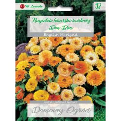 Měsíček - trpaslík - Bon Bon - směs - Semena - W. Legutko