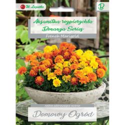 Tagetes roztroušené - Bonanza Series - mix - Semena - W. Legutko