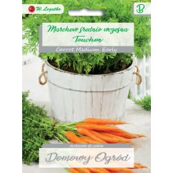 Mrkev - jedlá - Touchon - Semena - W. Legutko