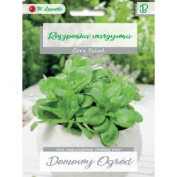 Zeleninový kukuřičný salát - Verte de Cambrai - Semena - W. Legutko