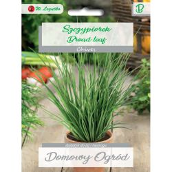 Pažitka – širokolistá - Semena - W. Legutko