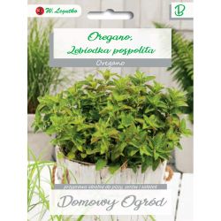 Oregano, majoránka obecná - Semena - W. Legutko