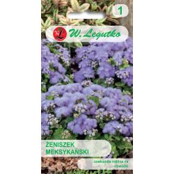 Mexický ženšen - modrý - Semena - W. Legutko