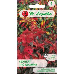 Amarant - trikolóra - směs - Semena - W. Legutko Amarant - trikolóra - směs - Semena - W. Legutko