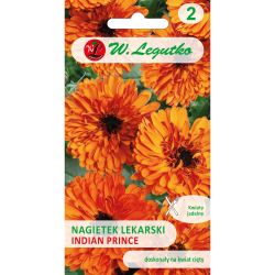 Marigold - indický princ - indický princ - Semena - W. Legutko
