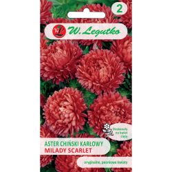 Trpasličí čínská astra - Milady Scarlet - červená - Semena - W. Legutko