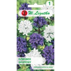 Zaměřený zvonek - směs - Semena - W. Legutko