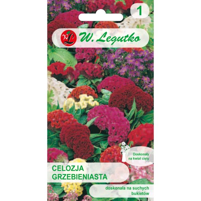 Hřeben celosia - směs - Semena - W. Legutko Hřeben celosia - směs - Semena - W. Legutko