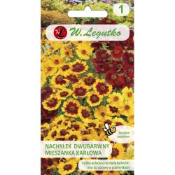 Dvoubarevný svah - trpasličí směs - Semena - W. Legutko