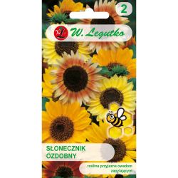 Jedna vysoká okrasná slunečnice - mix - Semena - W. Legutko