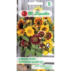 Středně vysoká slunečnice - mix řezaných květin - Semena - W. Legutko