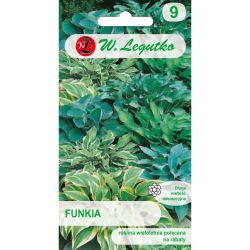Funkia - směs druhů - Semena - W. Legutko