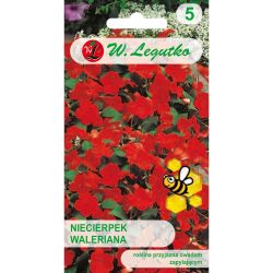 Impatiens Valerian - červená F2 - Semena - W. Legutko