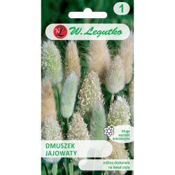 Pampeliška vejčitá - slámově bílá - Semena - W. Legutko