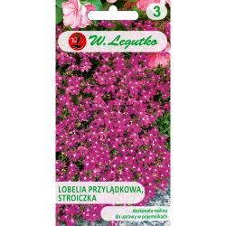 Cape lobelia, karmínově červená - Semena - W. Legutko