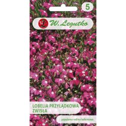 Cape lobelia visící - karmínově červená - Semena - W. Legutko Cape lobelia visící - karmínově červená - Semena - W. Legutko