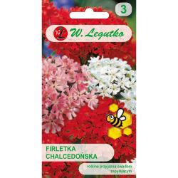 Chalcedonská firletka - směs - Semena - W. Legutko