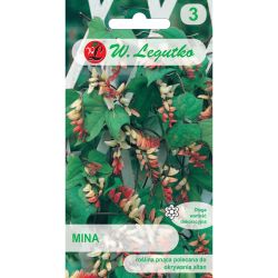 Mina - červená a žlutá - Semena - W. Legutko