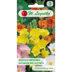 Pupalka dvouletá - směs víceletých druhů - Semena - W. Legutko