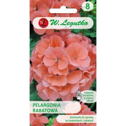 Pelargonium - ohraničuje řadu F1 - losos - Semena květin v květináči - W. Legutko