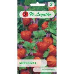 Physalis - roztažený - oranžový - Semena - W. Legutko