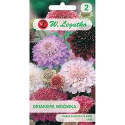 Driakiew, Wdówka - směs - Semena - W. Legutko