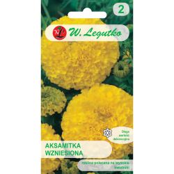 Tagetes vzpřímený - zlatožlutý - Semena - W. Legutko