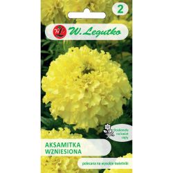 Tagetes erect - citronově žlutá - Semena - W. Legutko