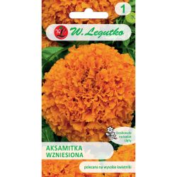 Tagetes erect - oranžová - Semena - W. Legutko