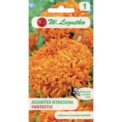 Tagetes erect - Fantastický - oranžový - Semena - W. Legutko