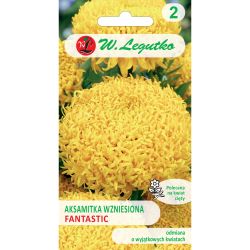 Tagetes erect - Fantastický - žlutý - Semena - W. Legutko